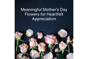 The Best Mother’s Day Flowers and Their Meanings for Heartfelt Appreciation