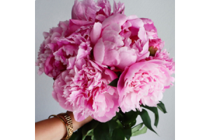 3 Gorgeous Peony Bouquets for Every Occasion