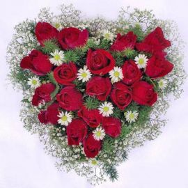 19 Red Roses arranged in Heart-Shape