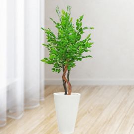 Artificial Green Ficus Tree 145cm Height