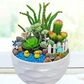 Artificial Mini Cactus Garden