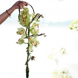 Hand Carry "Green Cymbidium Orchid" bouquet