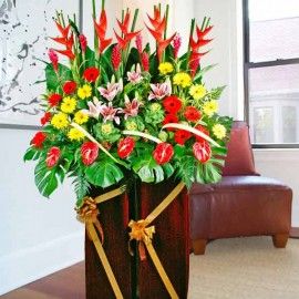 Heliconia & Anthurium Opening Flowers Delivery