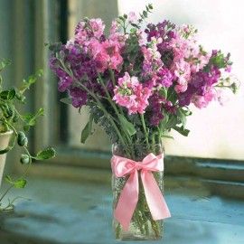 Matthiola Flowers In Glass Vase