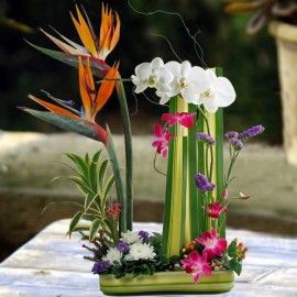 Orchids & Bird of paradise ikebana Arrangement