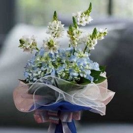 Ornithogalum Flowers & Blue hydrangeas Hand Bouquet