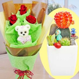 Mini Cactus Garden With 3 Red Roses & Bear Hand Bouquet
