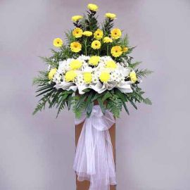 Yellow Gerbera and Pompom 6 feet arrangement