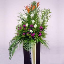 Heliconia with White lily In Box Stand 6 feet height