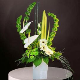 White Anthurium Fresh Flowers Arrangement