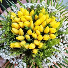 50 Yellow Tulips Hand Bouquet Delivery